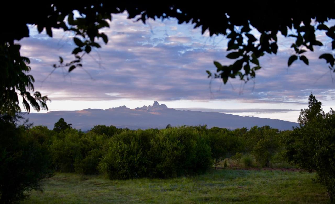 Villa Olepangi Farm Nanyuki Esterno foto
