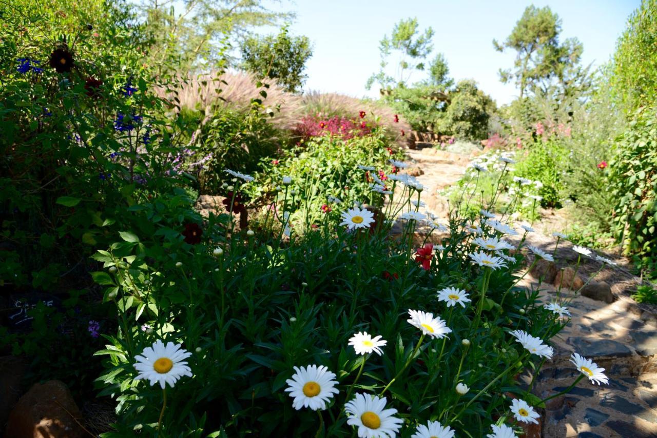 Villa Olepangi Farm Nanyuki Esterno foto