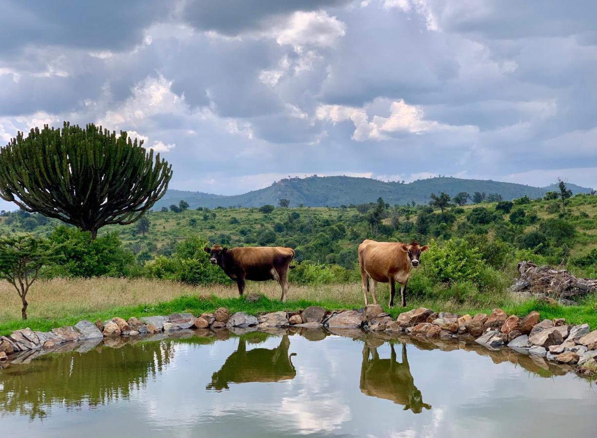 Villa Olepangi Farm Nanyuki Esterno foto