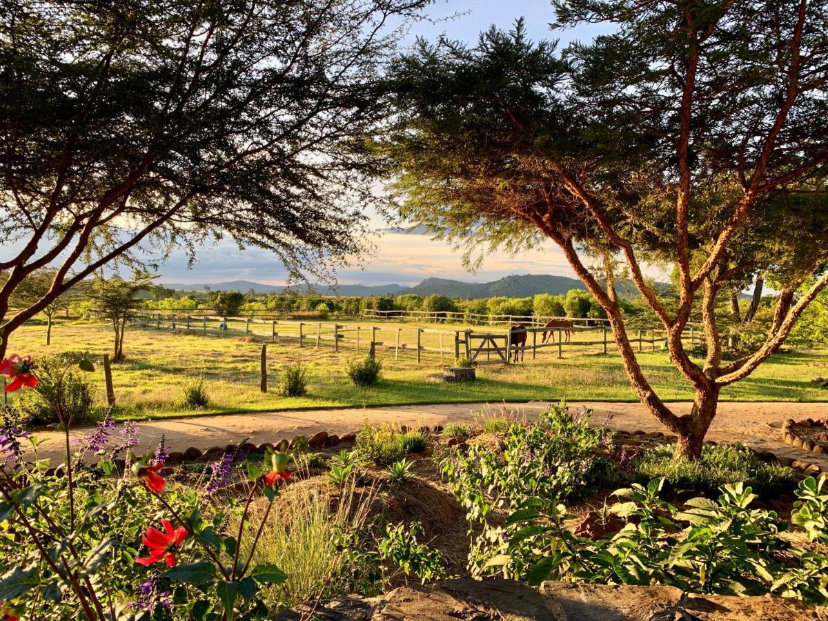 Villa Olepangi Farm Nanyuki Esterno foto