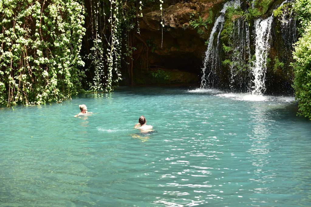 Villa Olepangi Farm Nanyuki Esterno foto