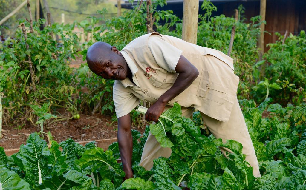 Villa Olepangi Farm Nanyuki Esterno foto