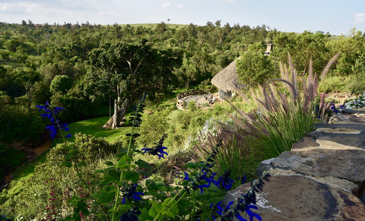 Villa Olepangi Farm Nanyuki Esterno foto