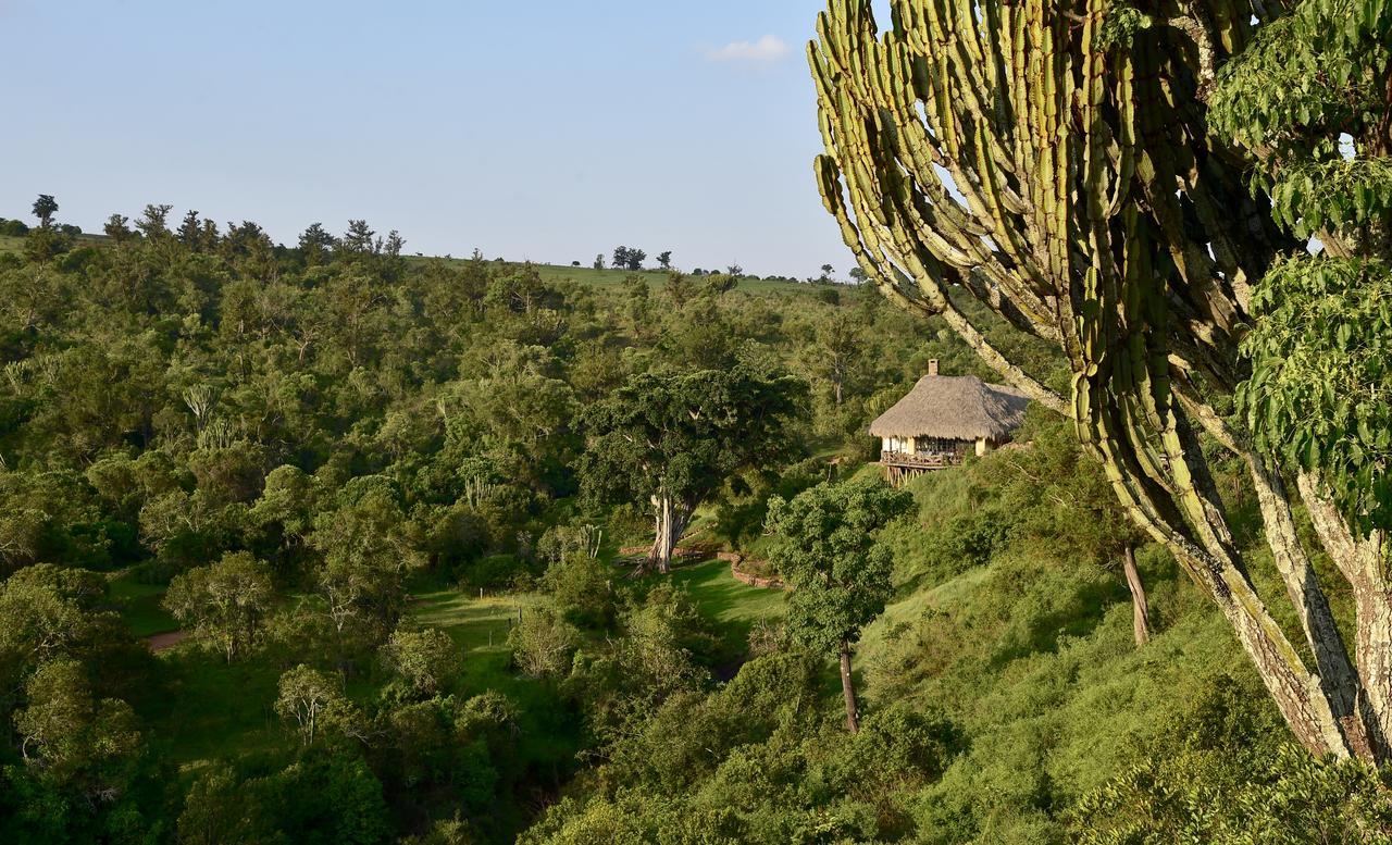 Villa Olepangi Farm Nanyuki Esterno foto