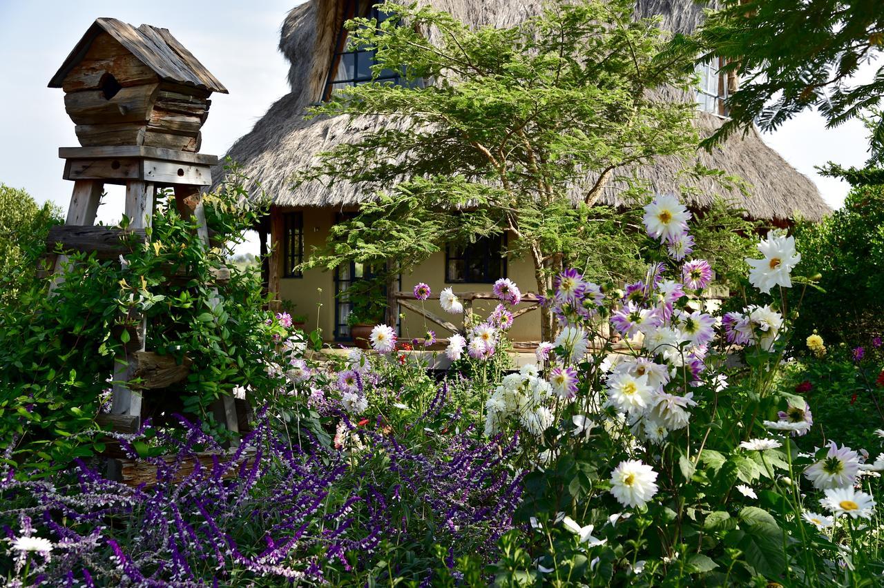 Villa Olepangi Farm Nanyuki Esterno foto